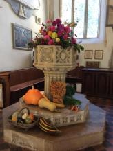 Harvest at St Edmunds